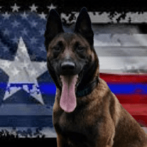 K-9 HOOTIE